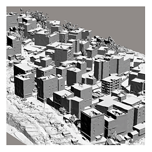 数字表面模型(DSM)/数字高程模型(DEM)