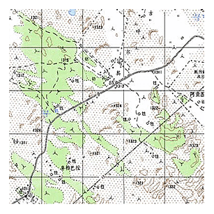 数字栅格图(DRG)